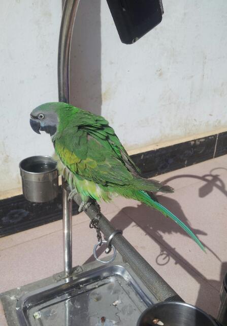 20130706_094415-1.jpg