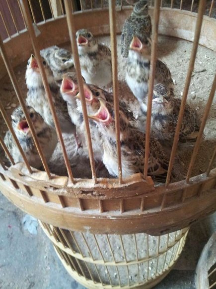 QQ图片20130710144453.jpg