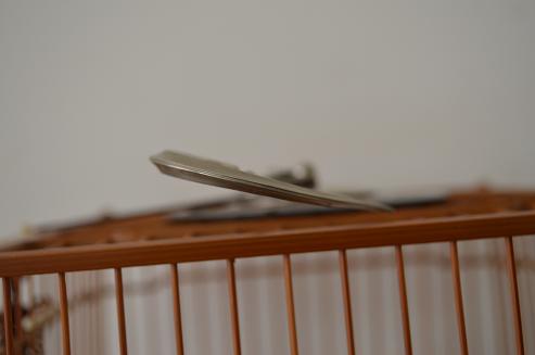 DSC_0067.JPG