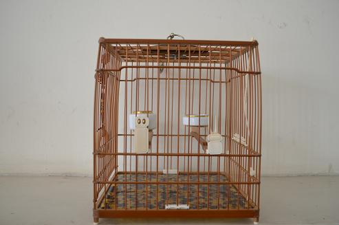 DSC_0055.JPG