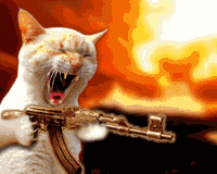 猫开枪.gif