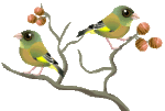 upload_145af80e_13242c434ac__7ffe_00000327.gif