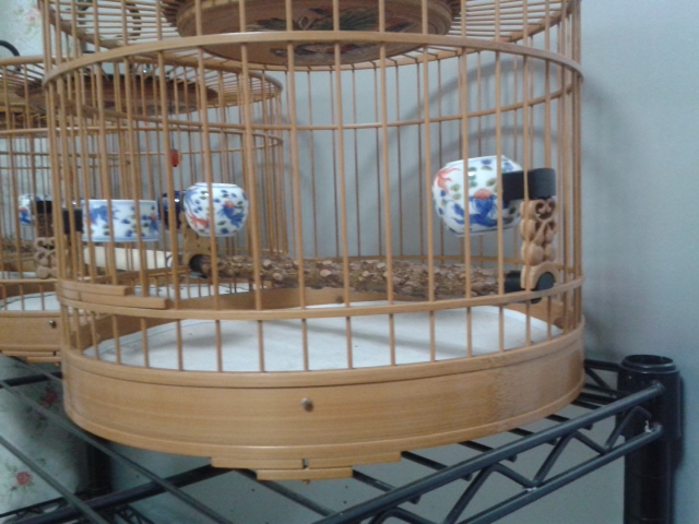20130727_003517.jpg