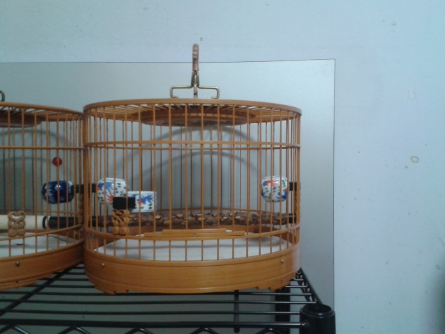 20130727_003738.jpg