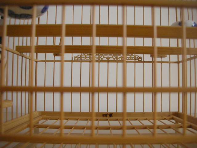 任耀军(9).JPG