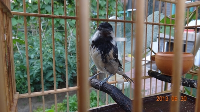 nEO_IMG_DSC03198.jpg
