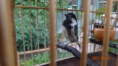 nEO_IMG_DSC03197.jpg
