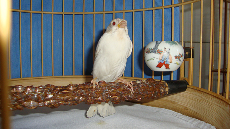 DSC02042_副本.jpg