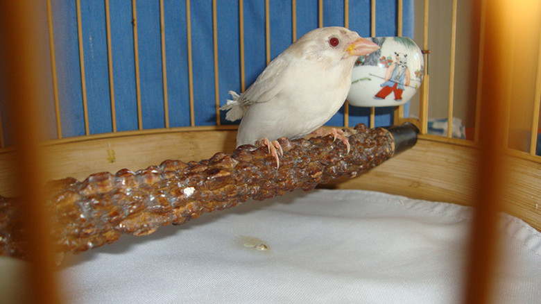 DSC02054_副本.jpg