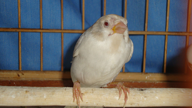 DSC02060_副本.jpg