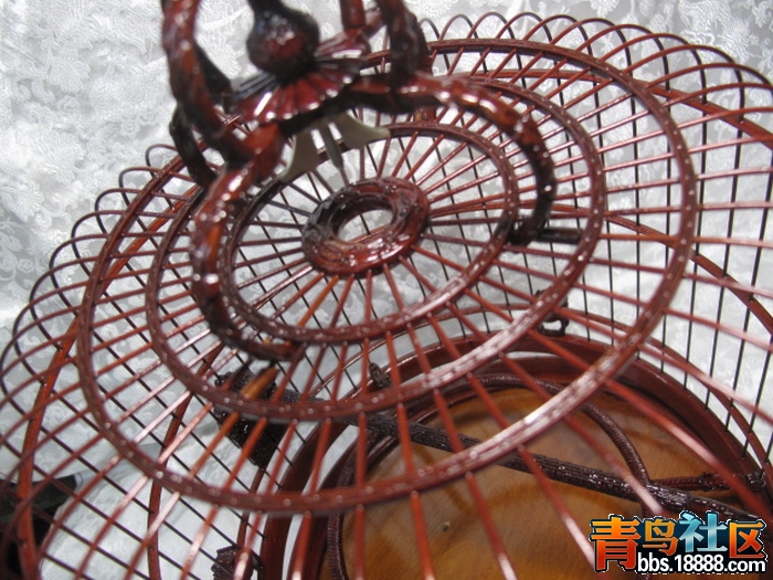 照片 270_调整大小.jpg