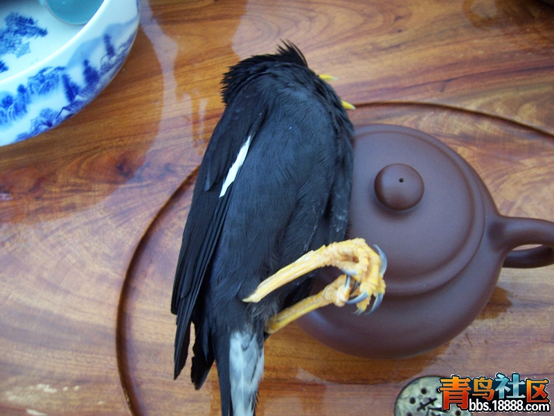 100_0225_副本.jpg