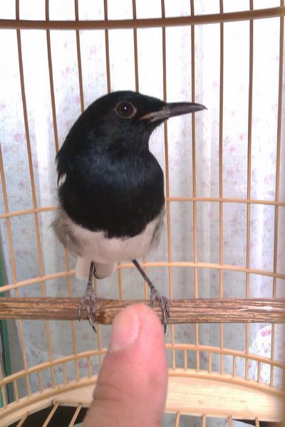 IMAG0994.jpg