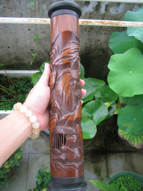 照片 1251.jpg