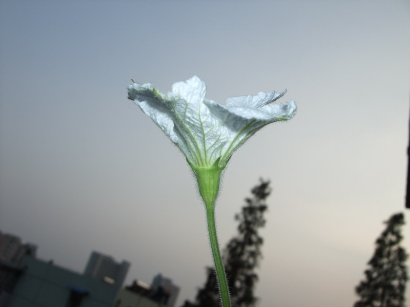 DSCF7896.jpg