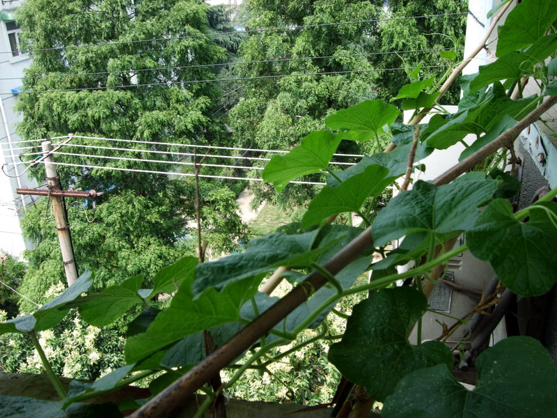 DSCF7968.jpg