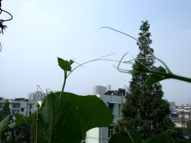 DSCF7974.jpg