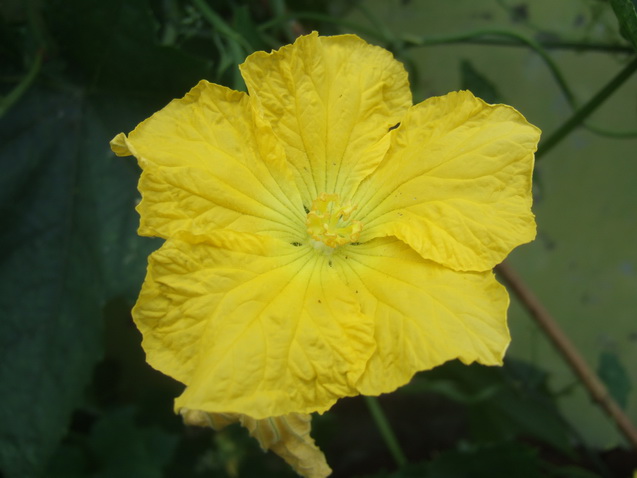 DSCF6354_调整大小.JPG