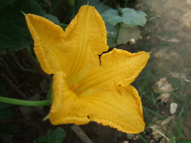 DSCF6364_调整大小.JPG