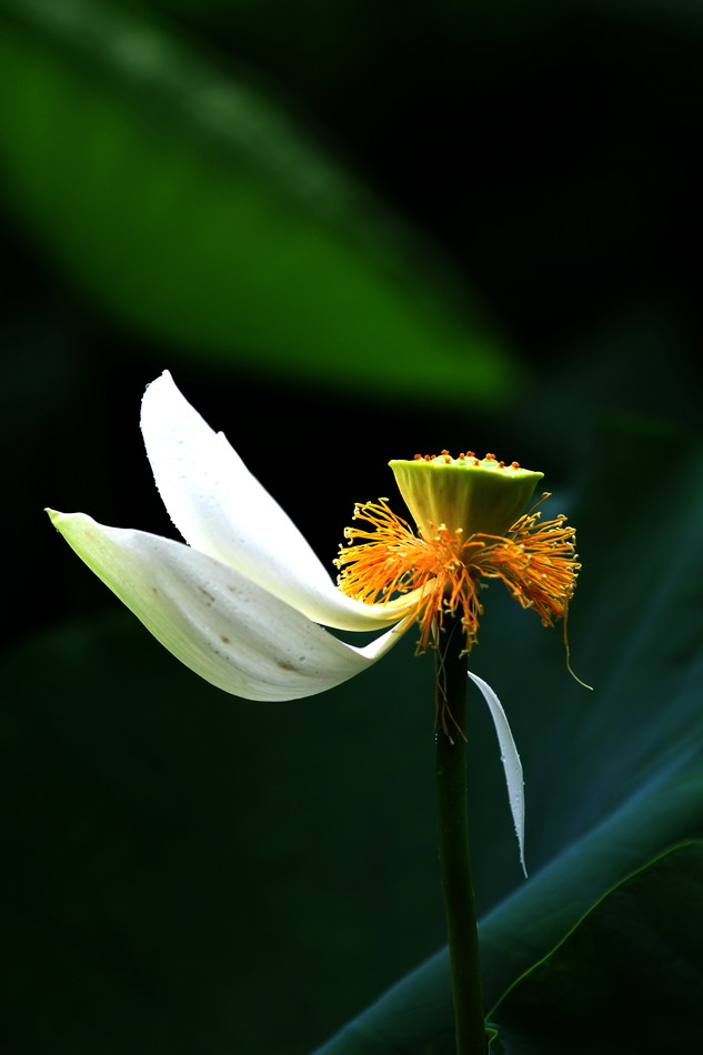 IMG_9269a_副本.jpg