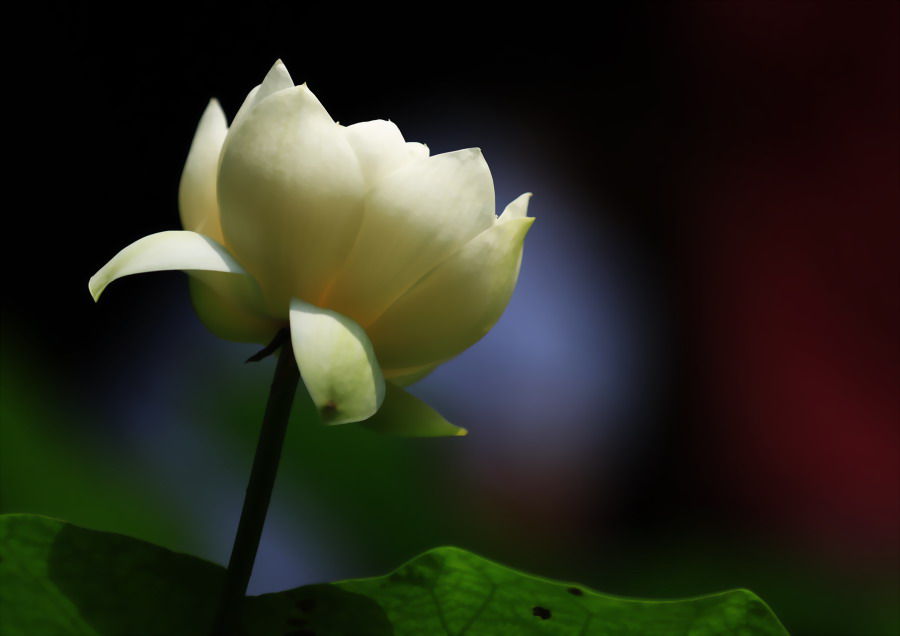V97A6397_副本.jpg