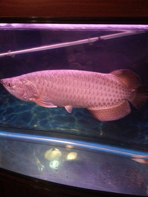 20130705_210905_副本.jpg