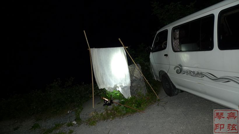 灯诱1.jpg
