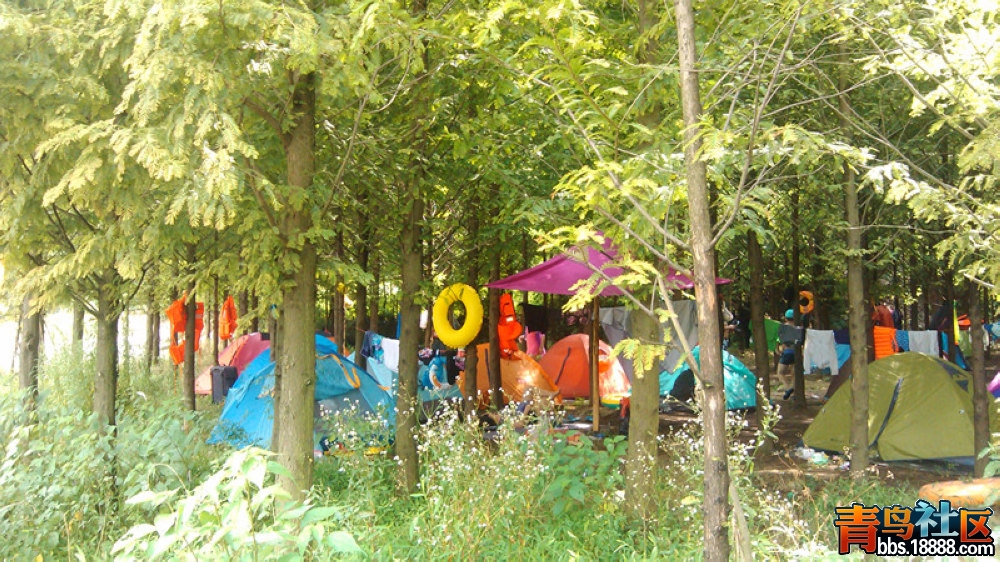 土鸡半岛1.jpg