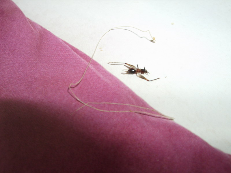 DSCF8545.jpg