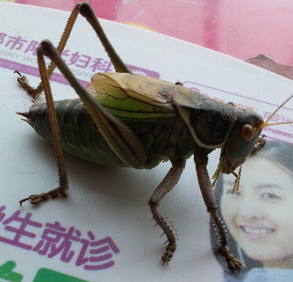 20130730_132047_mh1375161927674.jpg