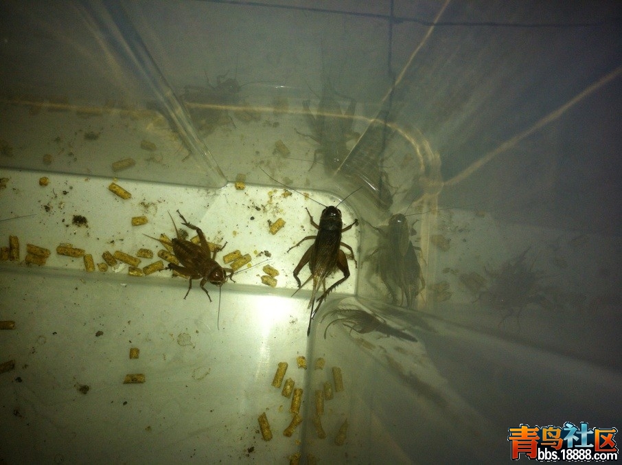 QQ图片20130715121758.jpg