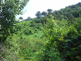 20130706_131051.jpg