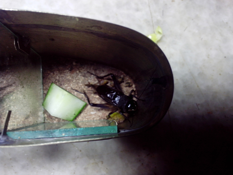 IMG_20130727_154337_副本.jpg