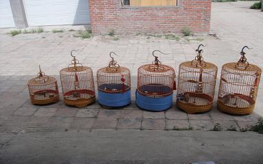 DSC02407.JPG
