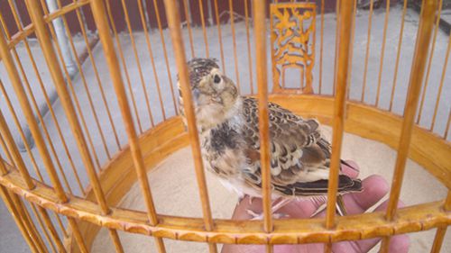 20130703976.jpg