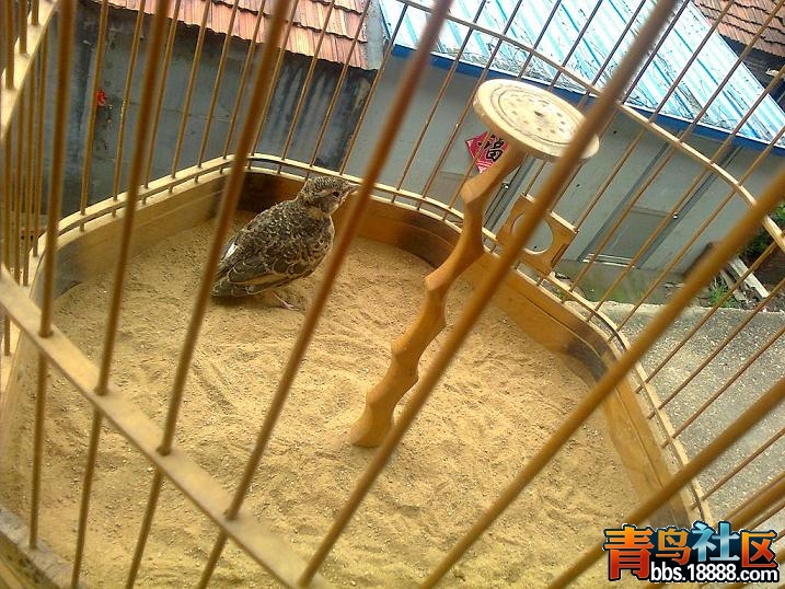 照片0643.JPG