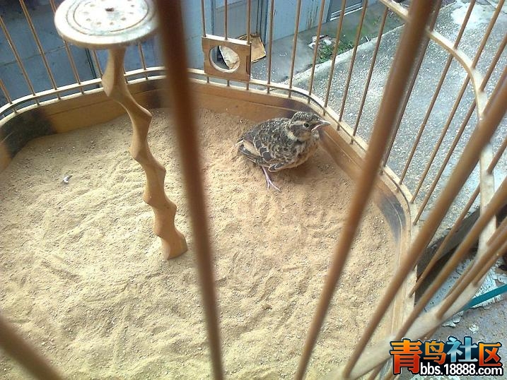 照片0644.JPG