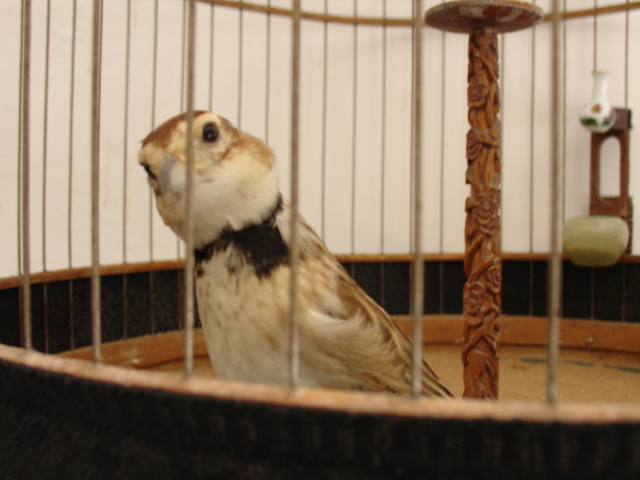 DSC00015.JPG