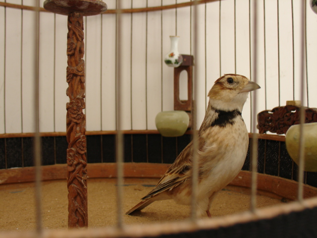 DSC00012.JPG