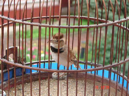 DSC00070.jpg