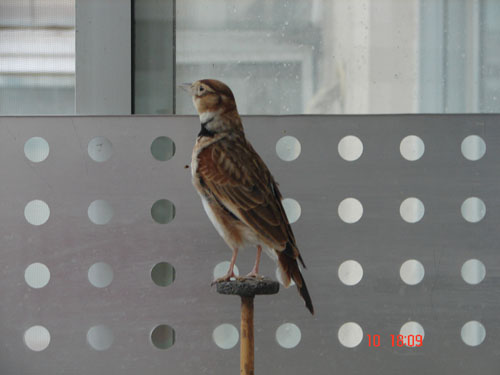 DSC00001.jpg