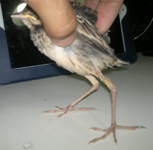 QQ图片20130705164319.jpg