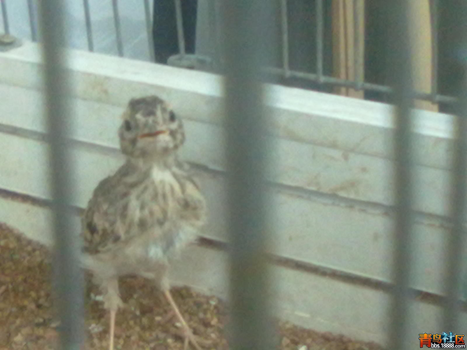 20130715625.jpg