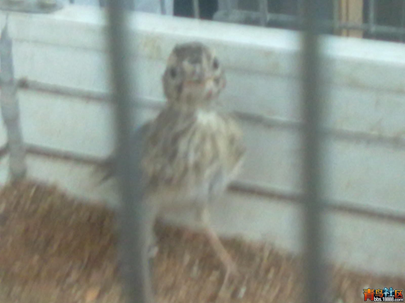20130715627.jpg