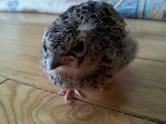 20130731_072955.jpg