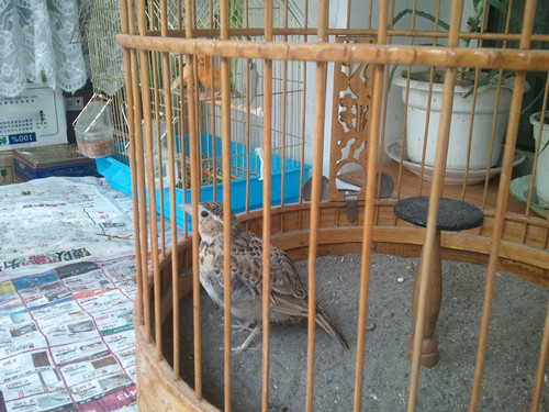 2013-07-07 13.46.00_副本.jpg
