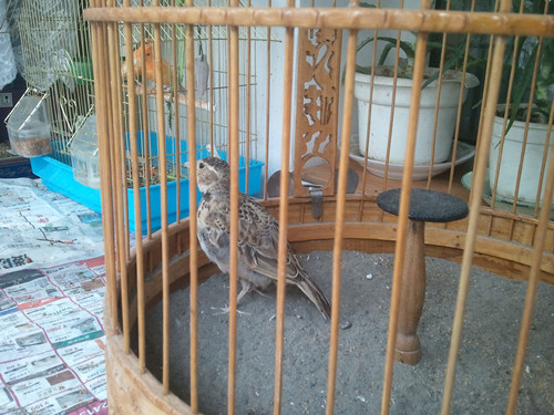 2013-07-07 13.46.07_副本.jpg