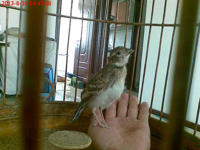 2013630144756.jpg