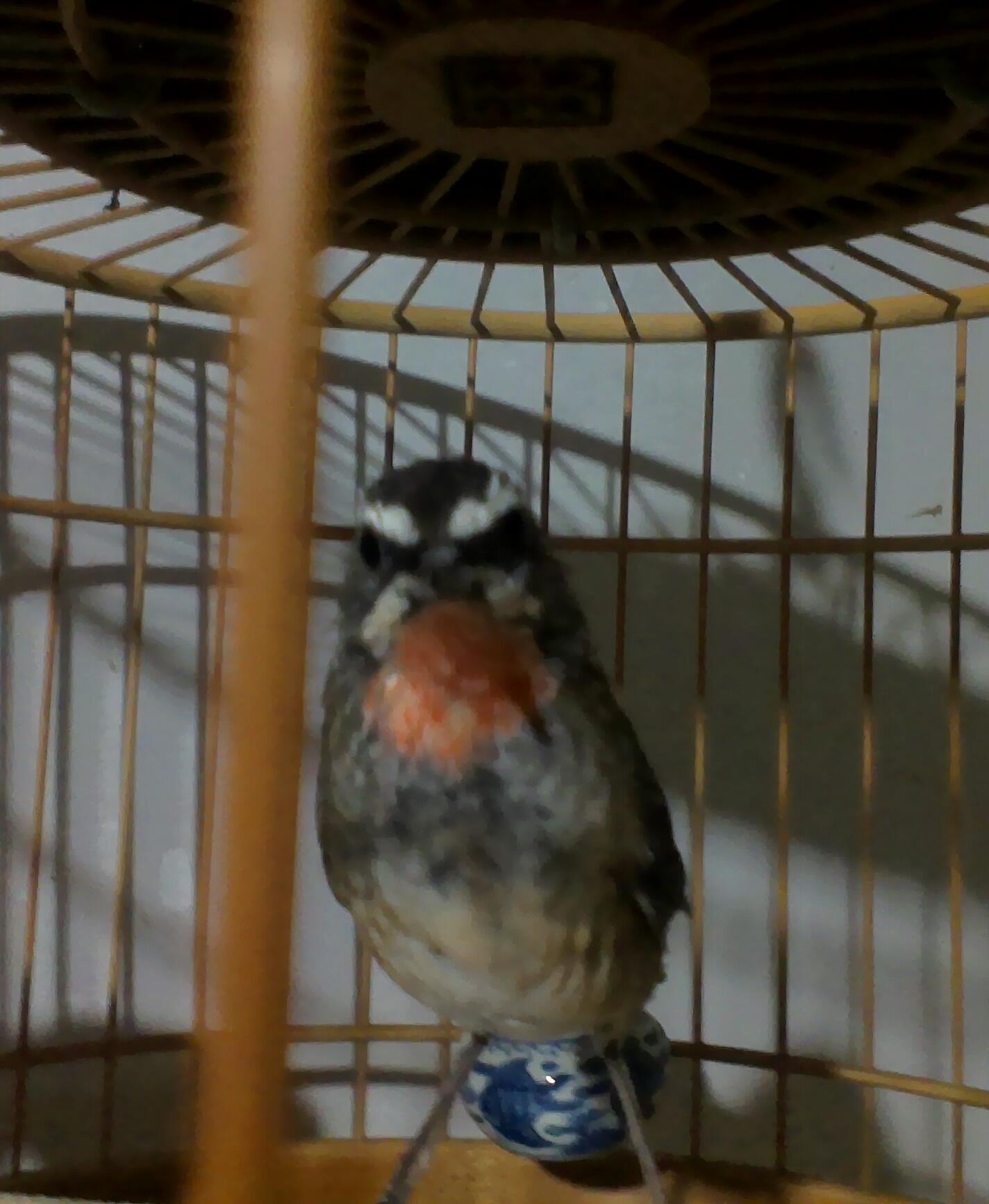 IMAG1046_1.jpg