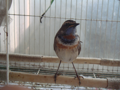 DSC08138.jpg